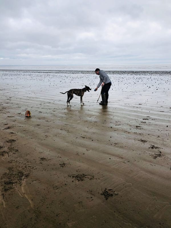 Berrow Beach