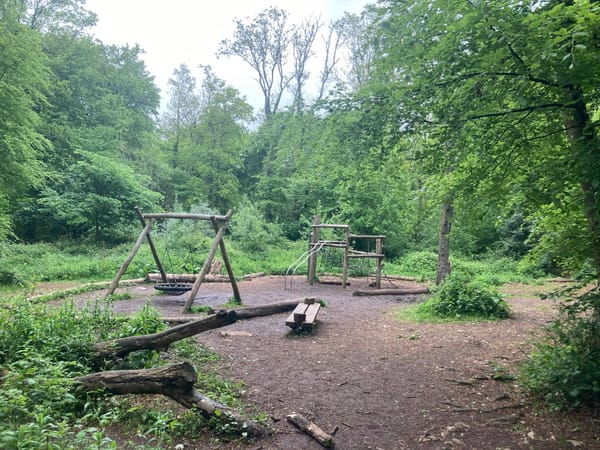 Worlebury Woods Play Area