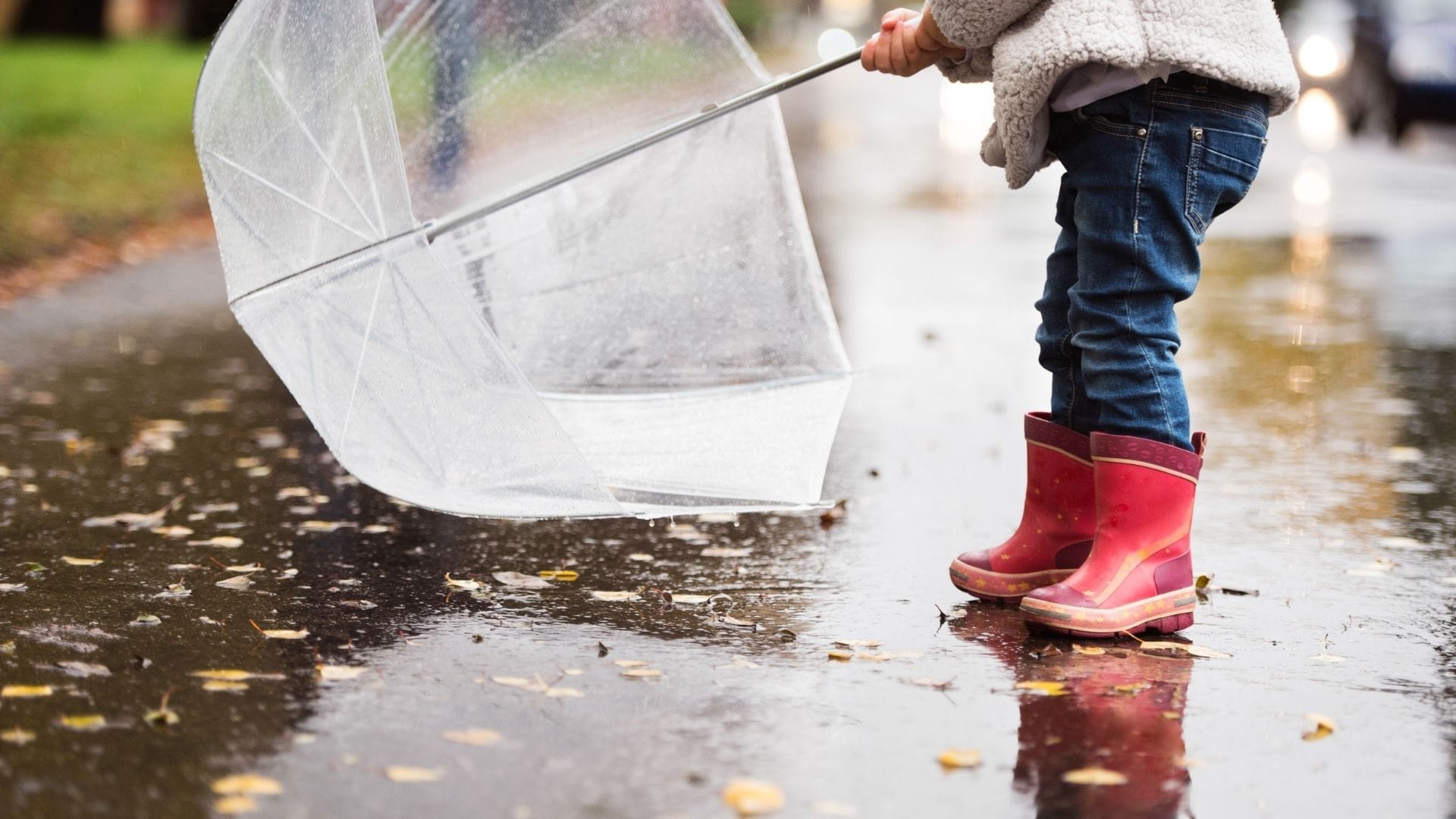 Rainy Day Activities in Weston-super-Mare