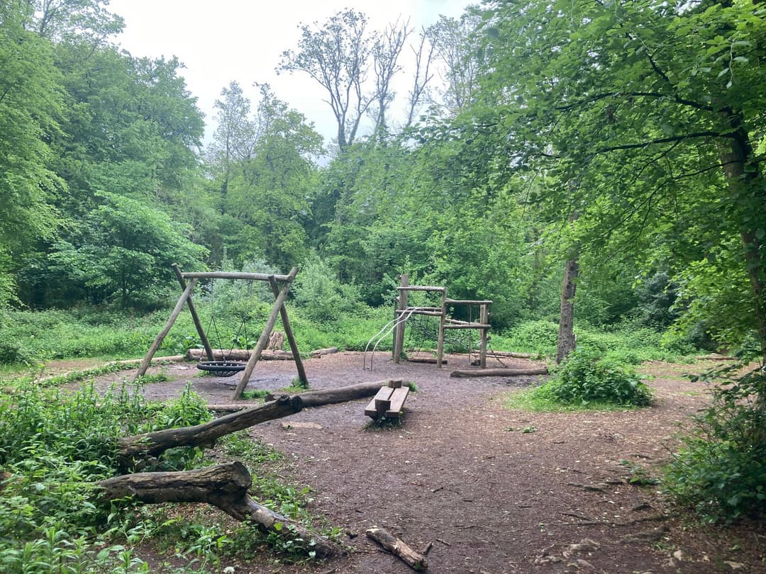 Worlebury Woods Play Area - image 1