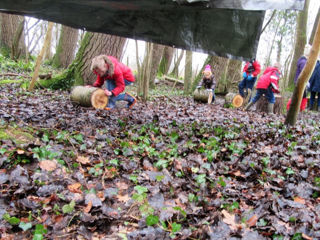 At Play in the Woods